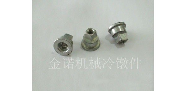 1604112317309656.jpg